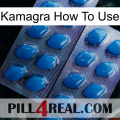 Kamagra How To Use viagra2